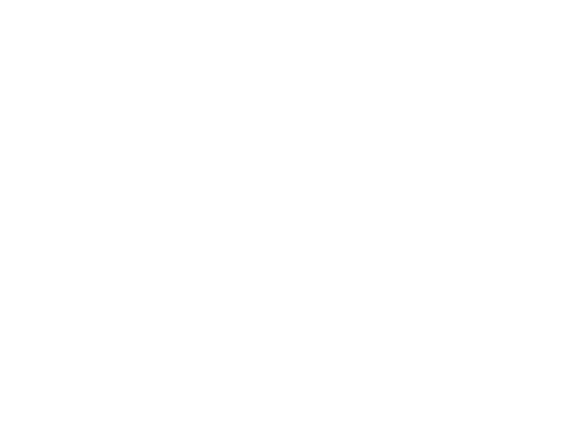 Remax Lion